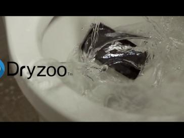 Dryzoo