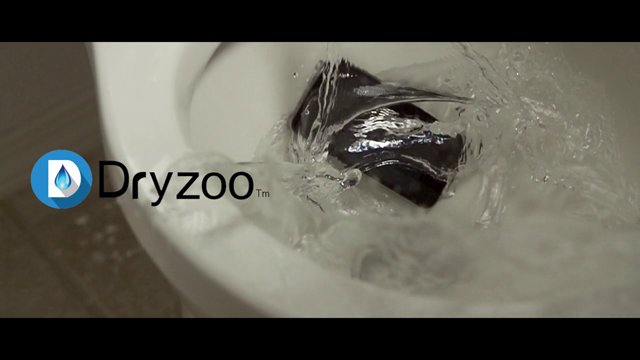 Dryzoo